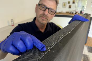 Bettwanzen im Polster