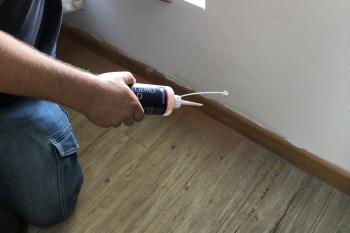 Bettwanzen in der Sockleiste