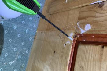 Bettwanzen bekämpfen