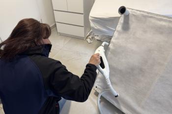 Bettwanzen bekämpfen