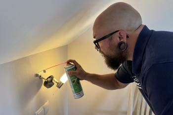 Bettwanzen bekämpfen