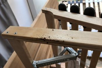 Bettwanzen im Lattenrost