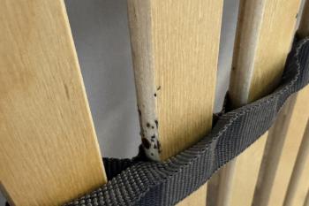 Bettwanzen im Lattenrost