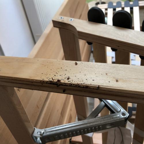 Bettwanzen im Lattenrost